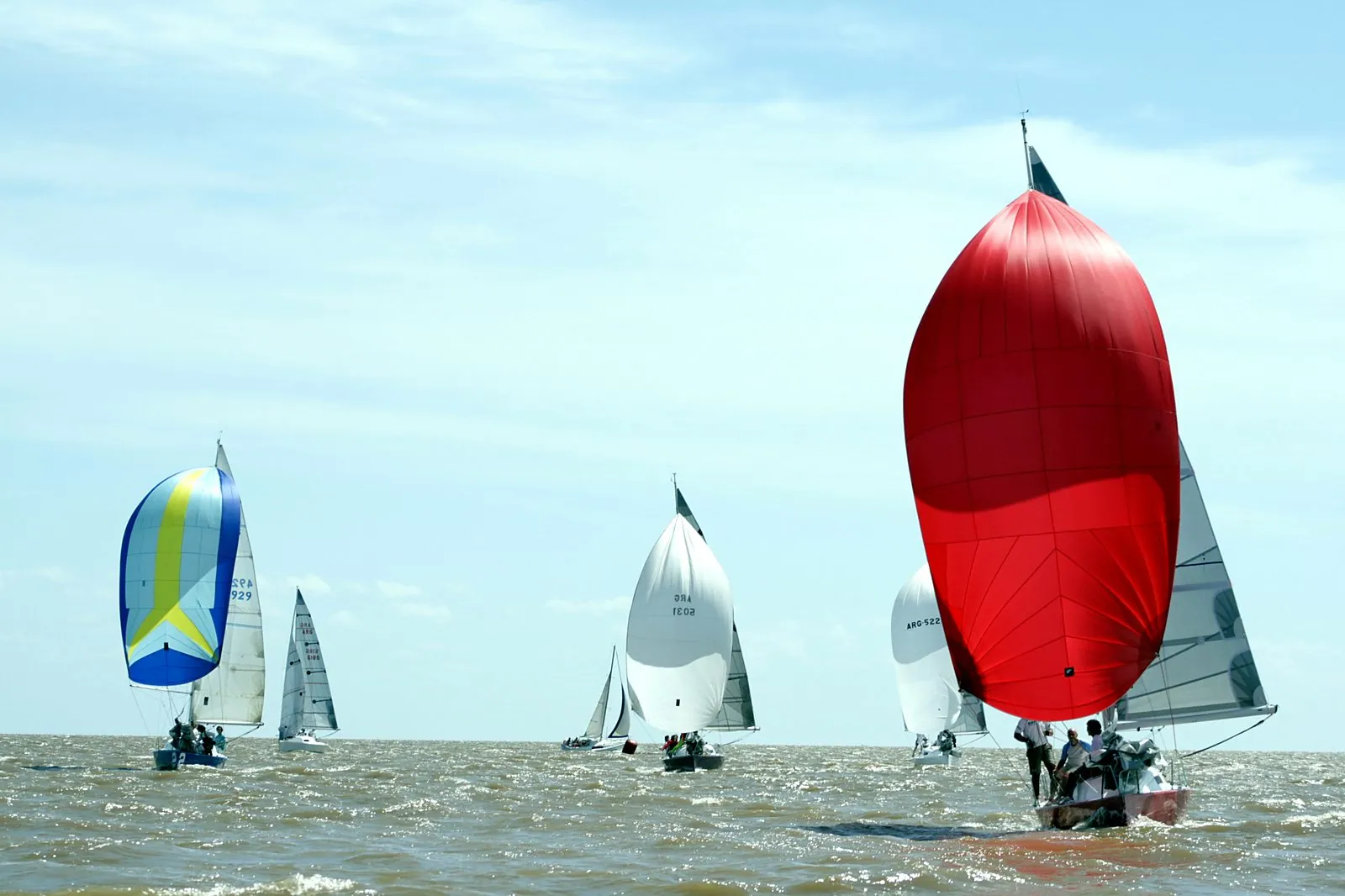 Flota con spinnaker